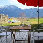 Jojo - Bergblick *